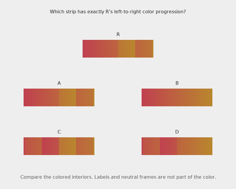 Which strip, A, B, C, or D, has exactly the same left-to-right color progression as reference R?