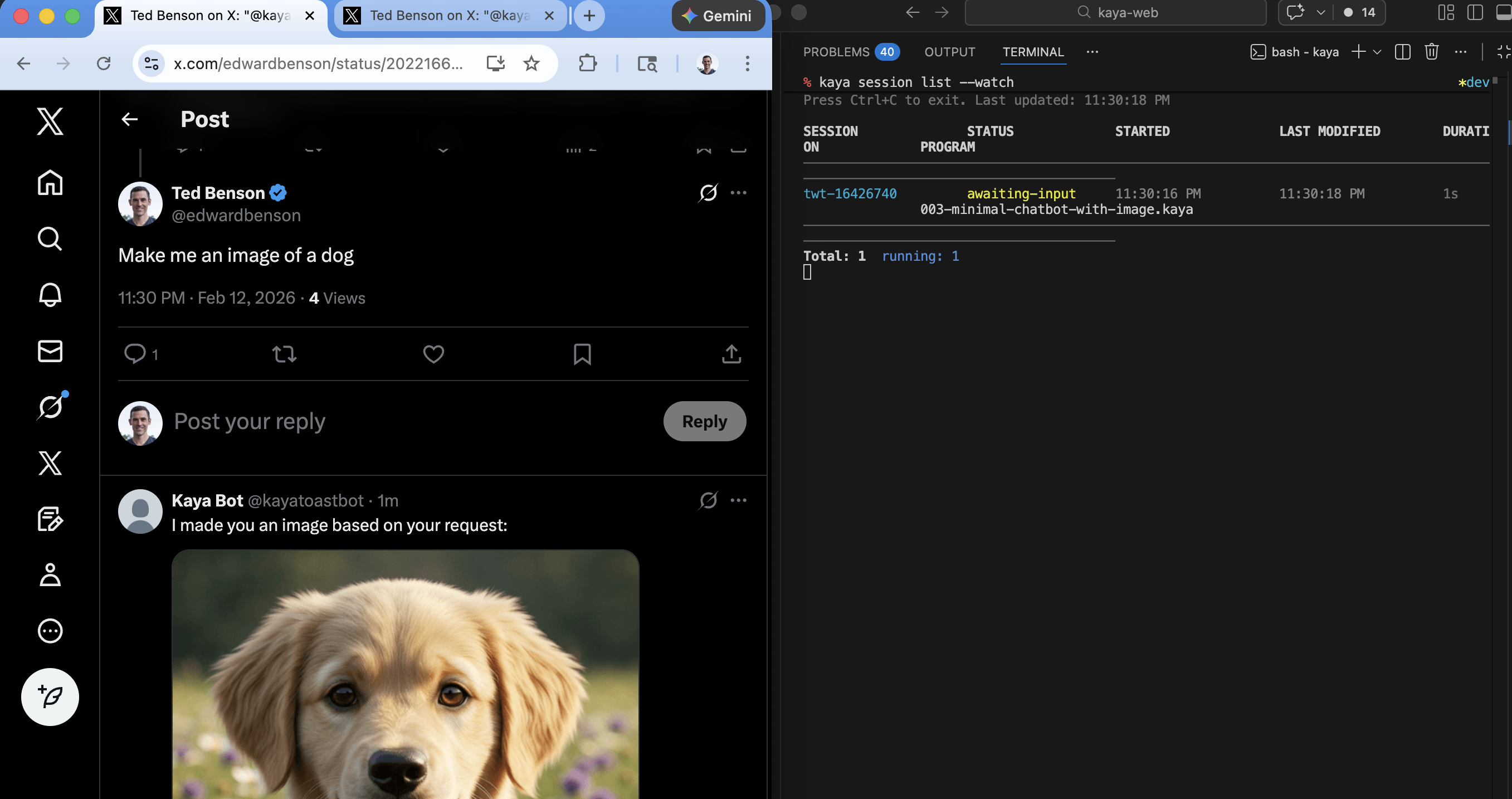 Twitter support fo Kaya